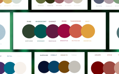 3 Reasons to Choose a Colour Palette for your Business