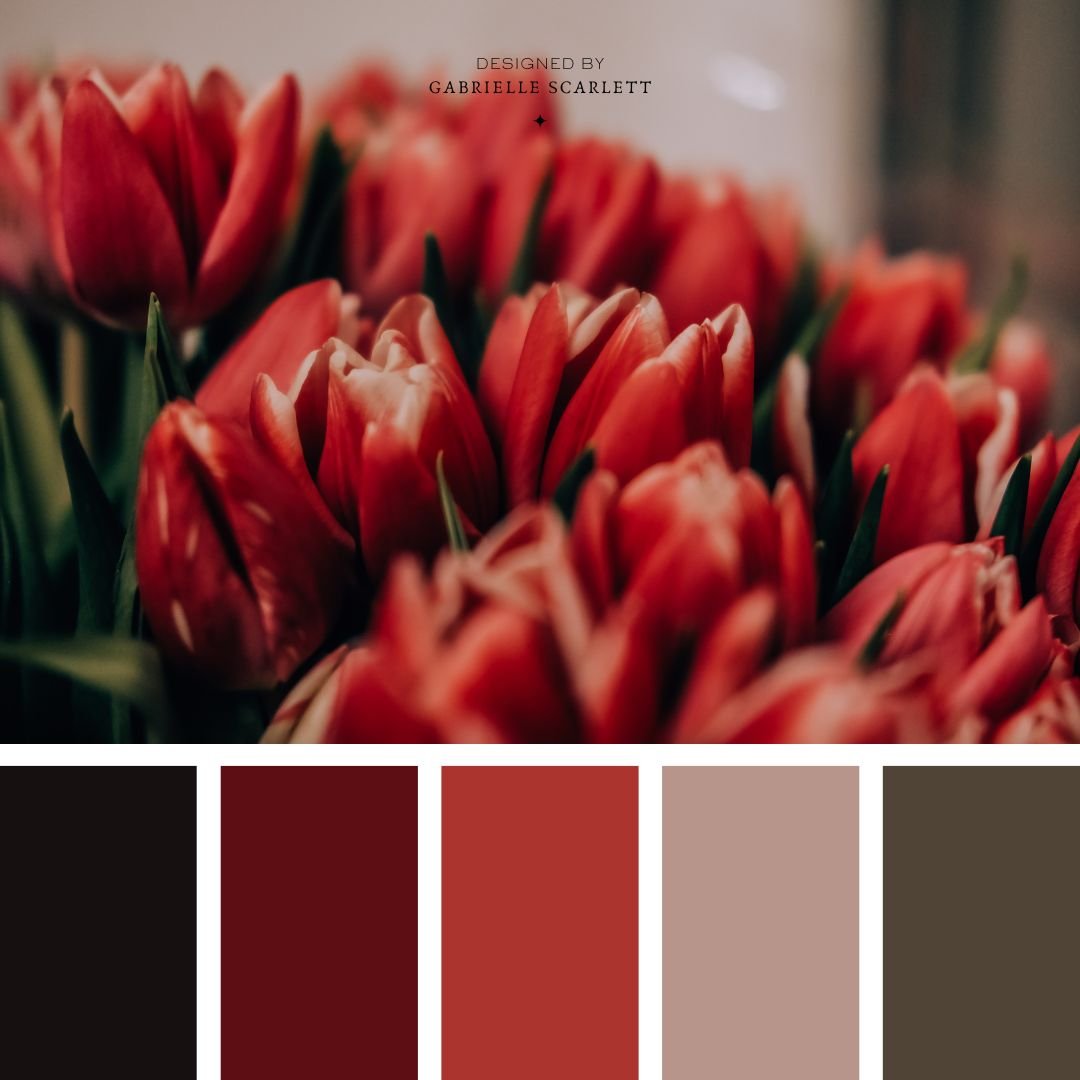 50 Red Colour Palettes to Inspire Your Next Project