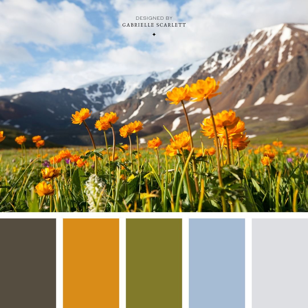 Colour Psychology and Why it Matters to Your Branding | DIY Branding