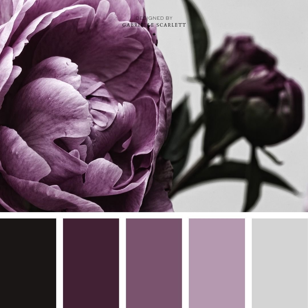 50 Purple Colour Palettes to Inspire Your Next Project