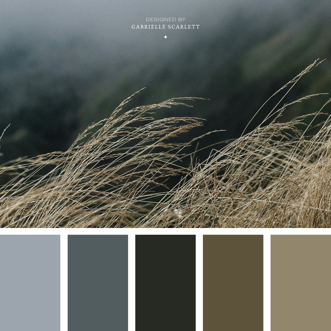 50+ Moody Colour Palette Inspirations | Colour Psychology Breakdown