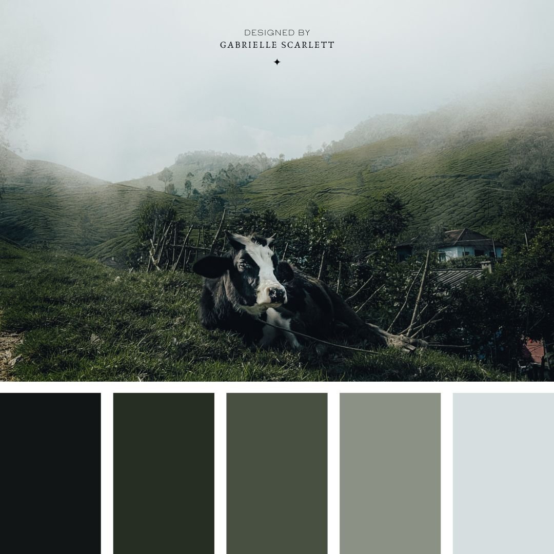 GS – Moody Green Colour Palette